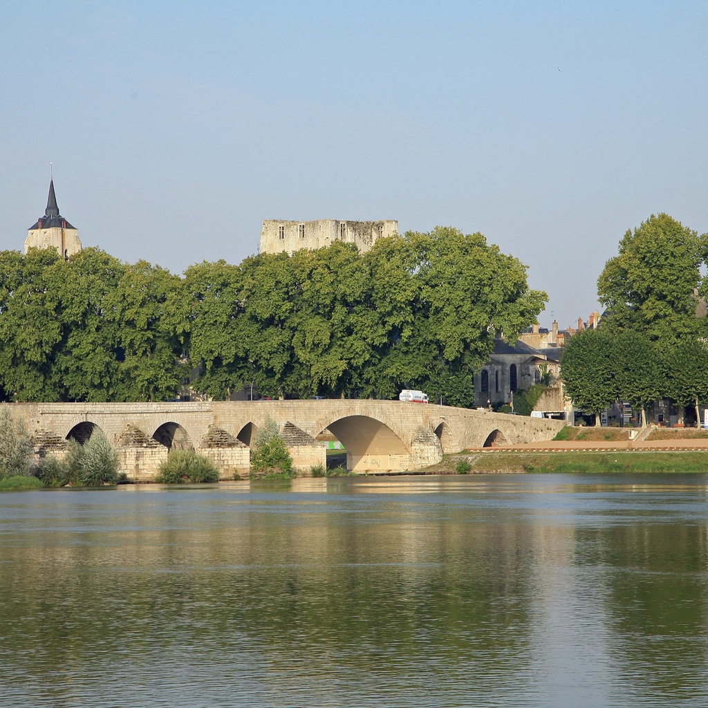 Beaugency Bridge