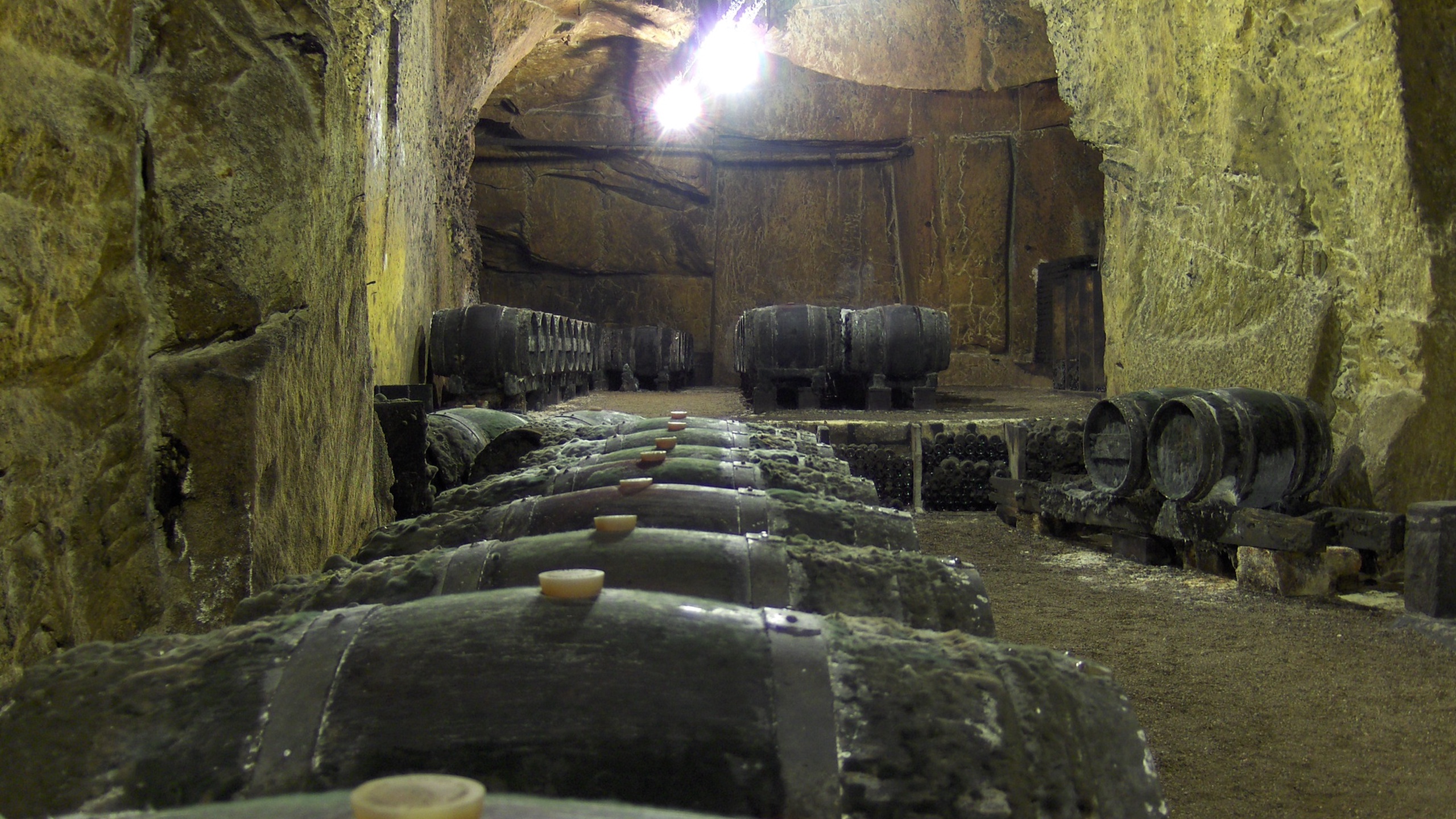 Cave Monplaisir - Chinon