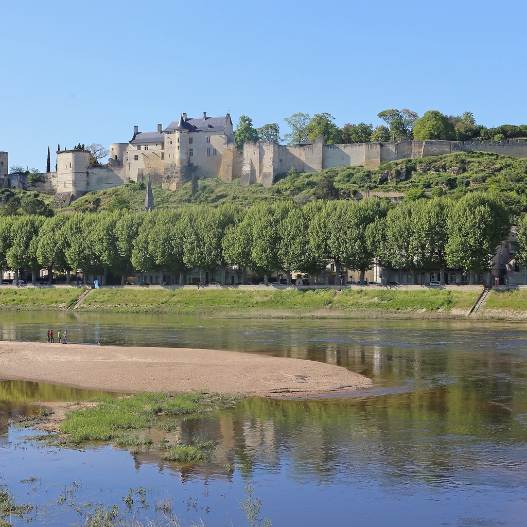 Chinon