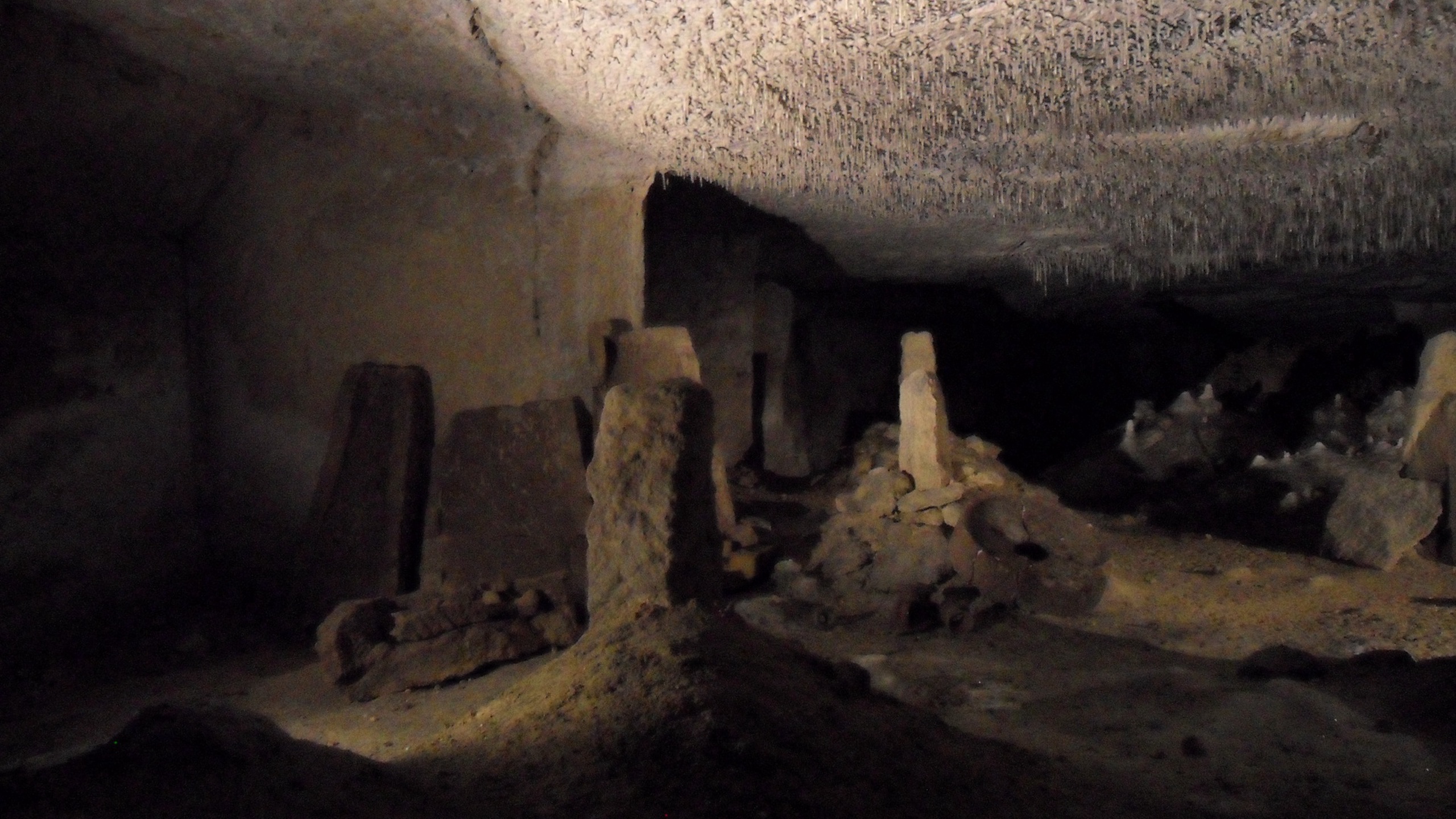 Discover Savonnières