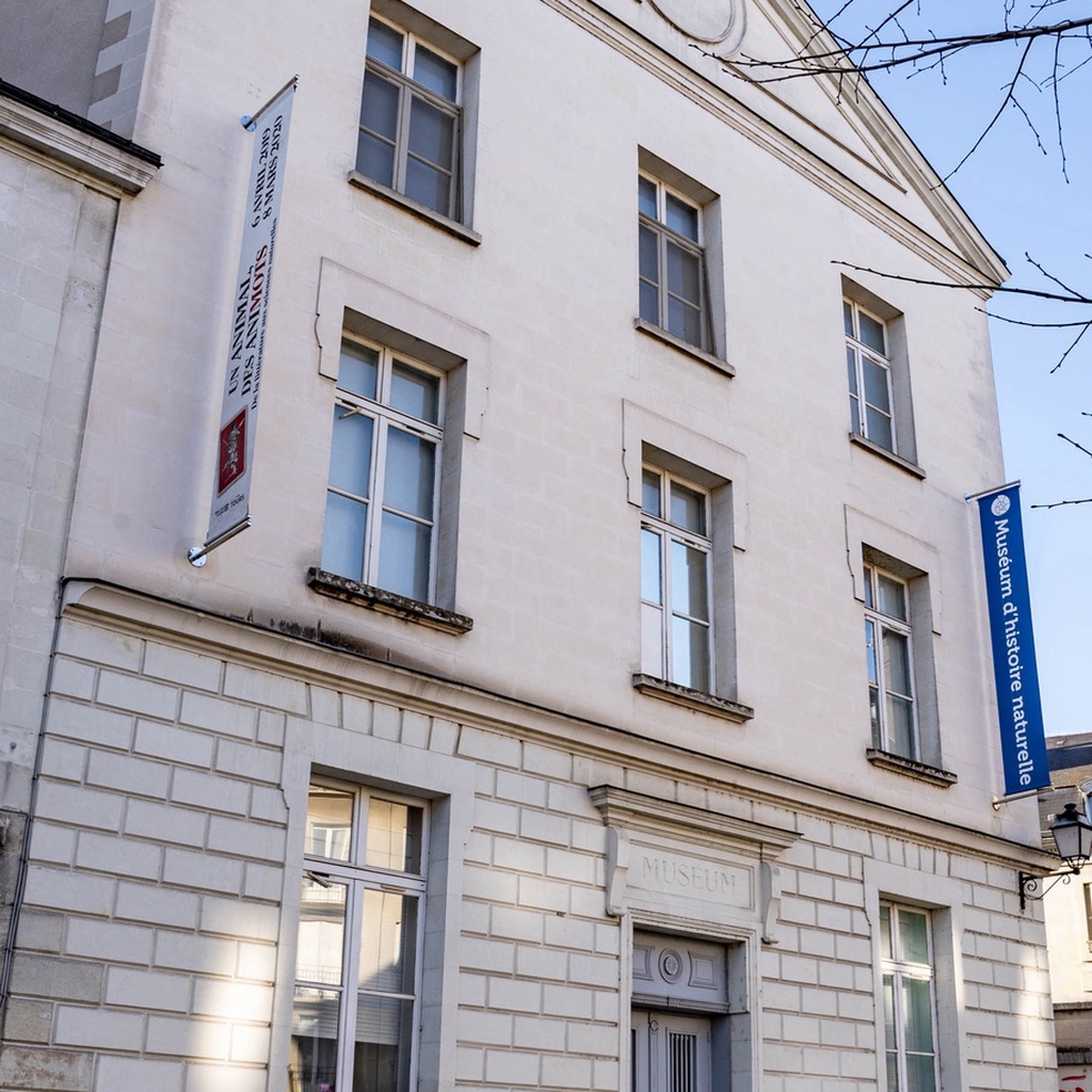Natural History Museum of Tours