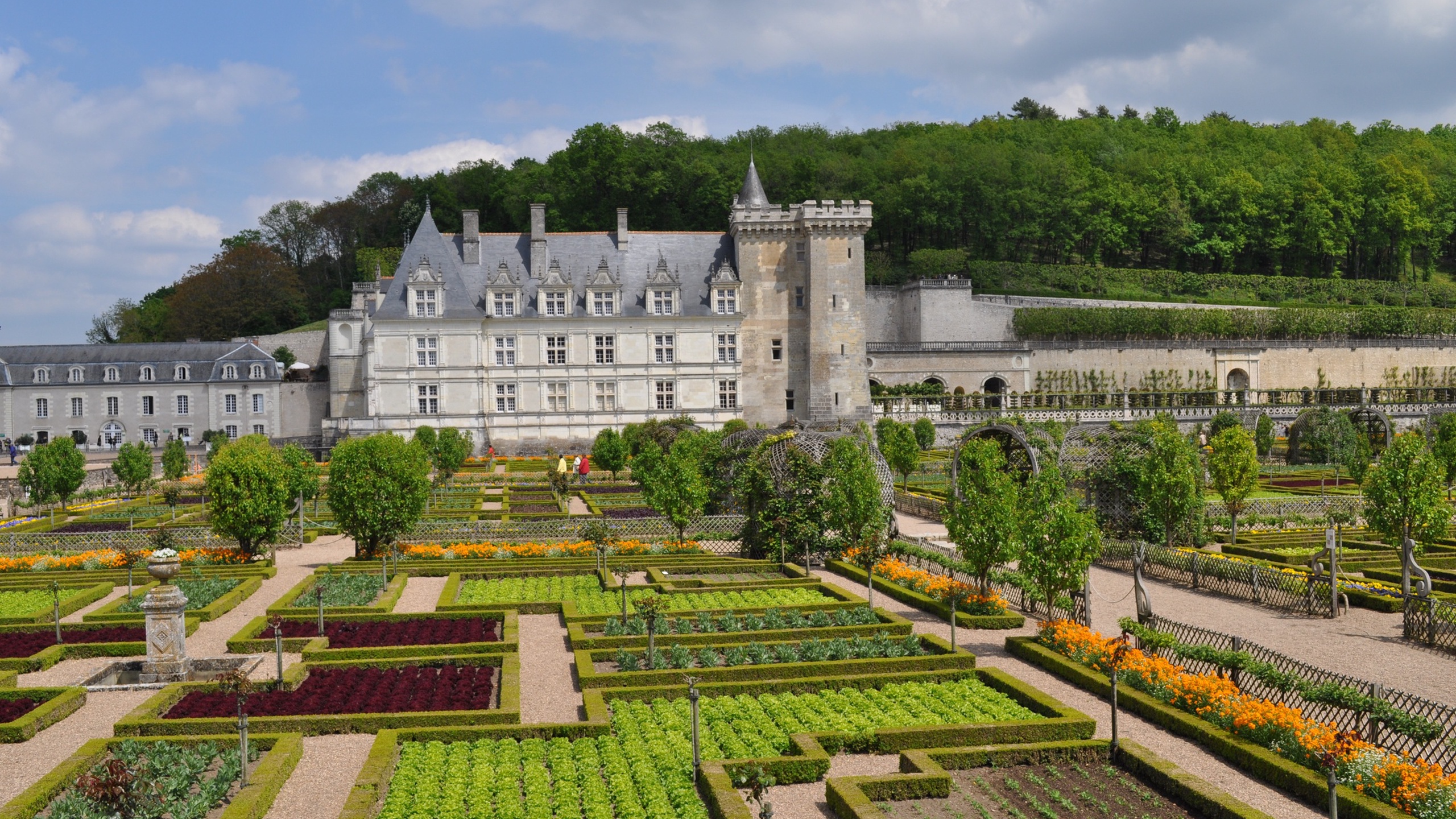 Villandry Castle and Gardens