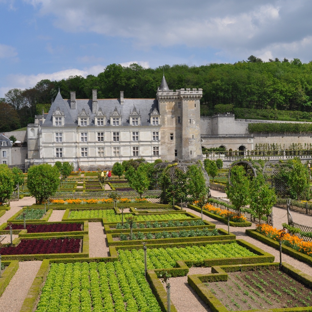 Villandry Castle and Gardens