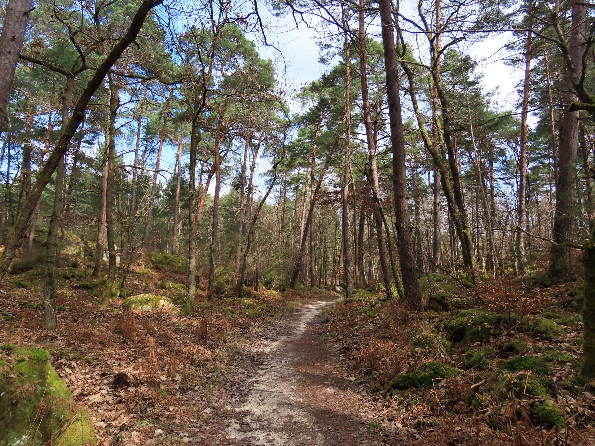 Fontainebleau Forest — Visit Guide, Hours & Day Plans