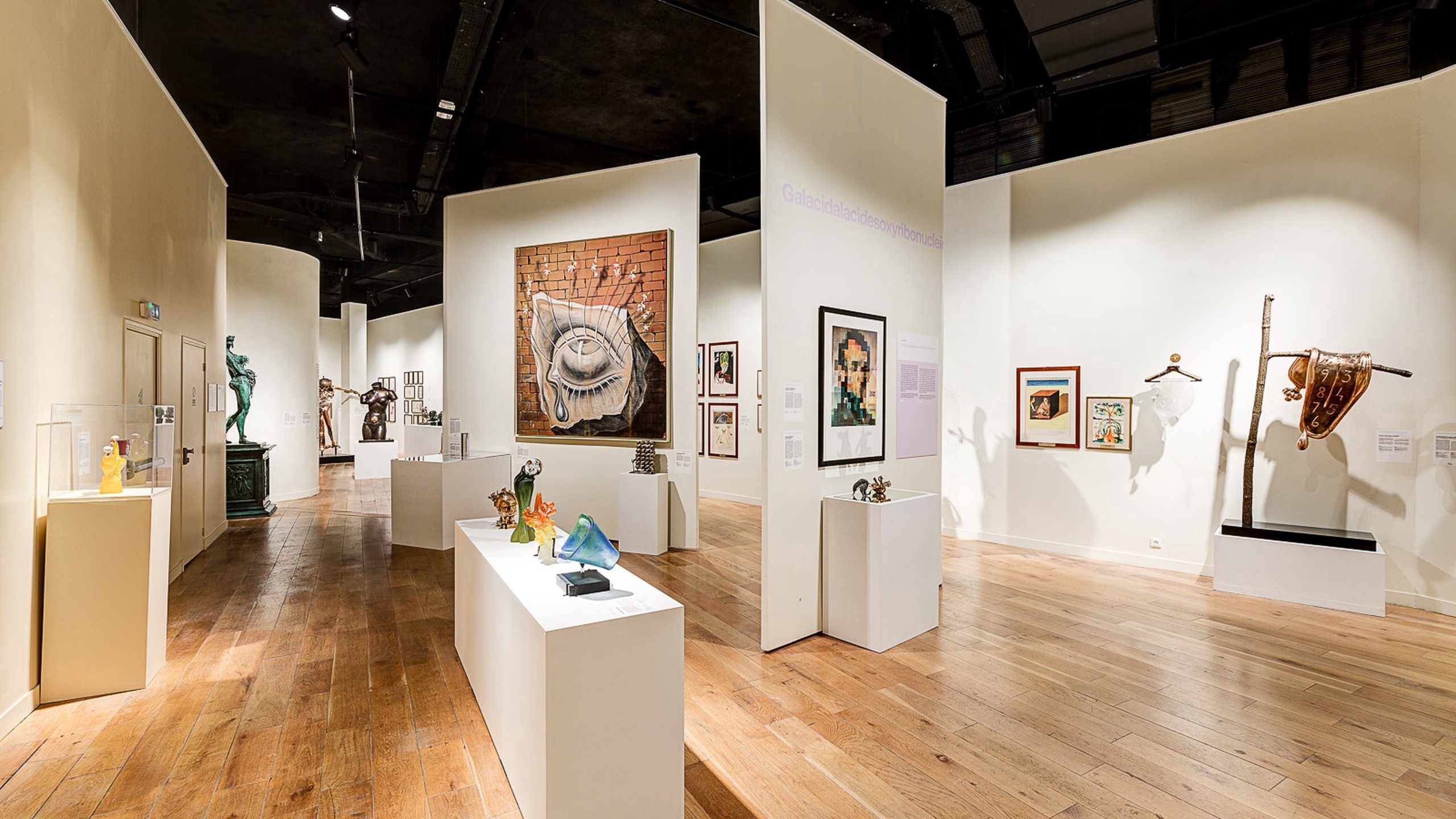 Dalí Museum Paris - Paris