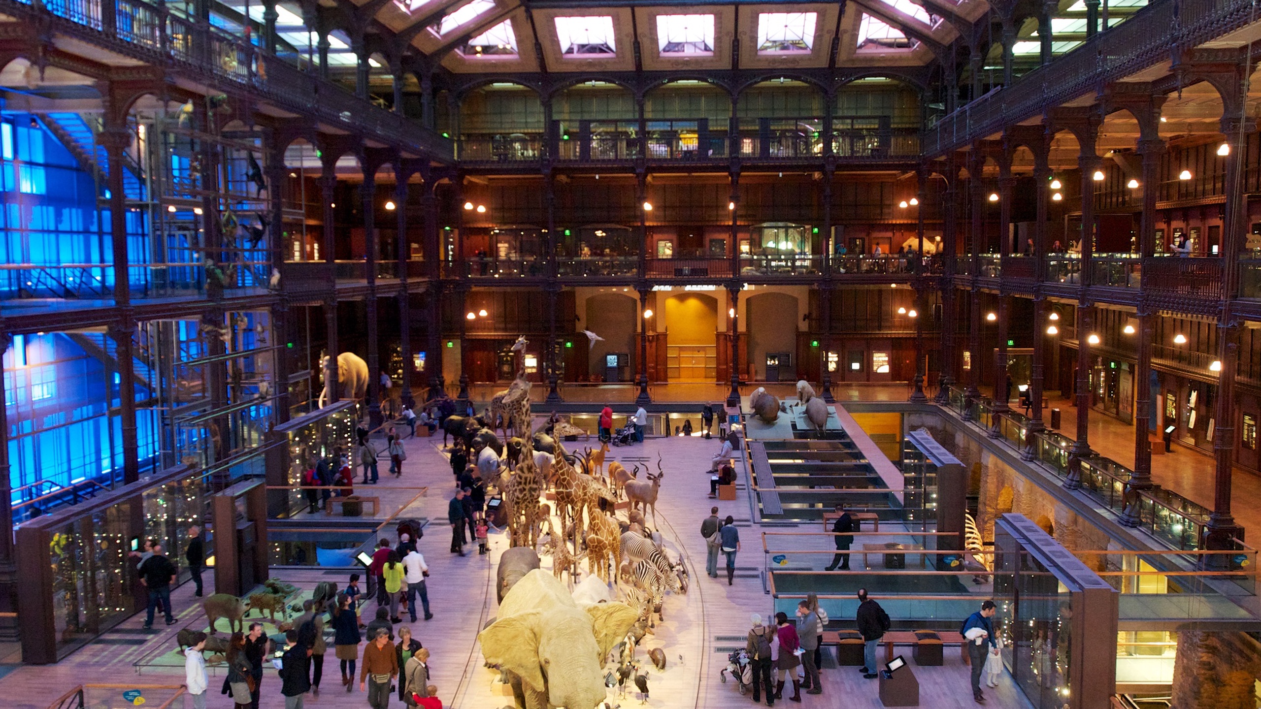 National Museum of Natural History - Paris