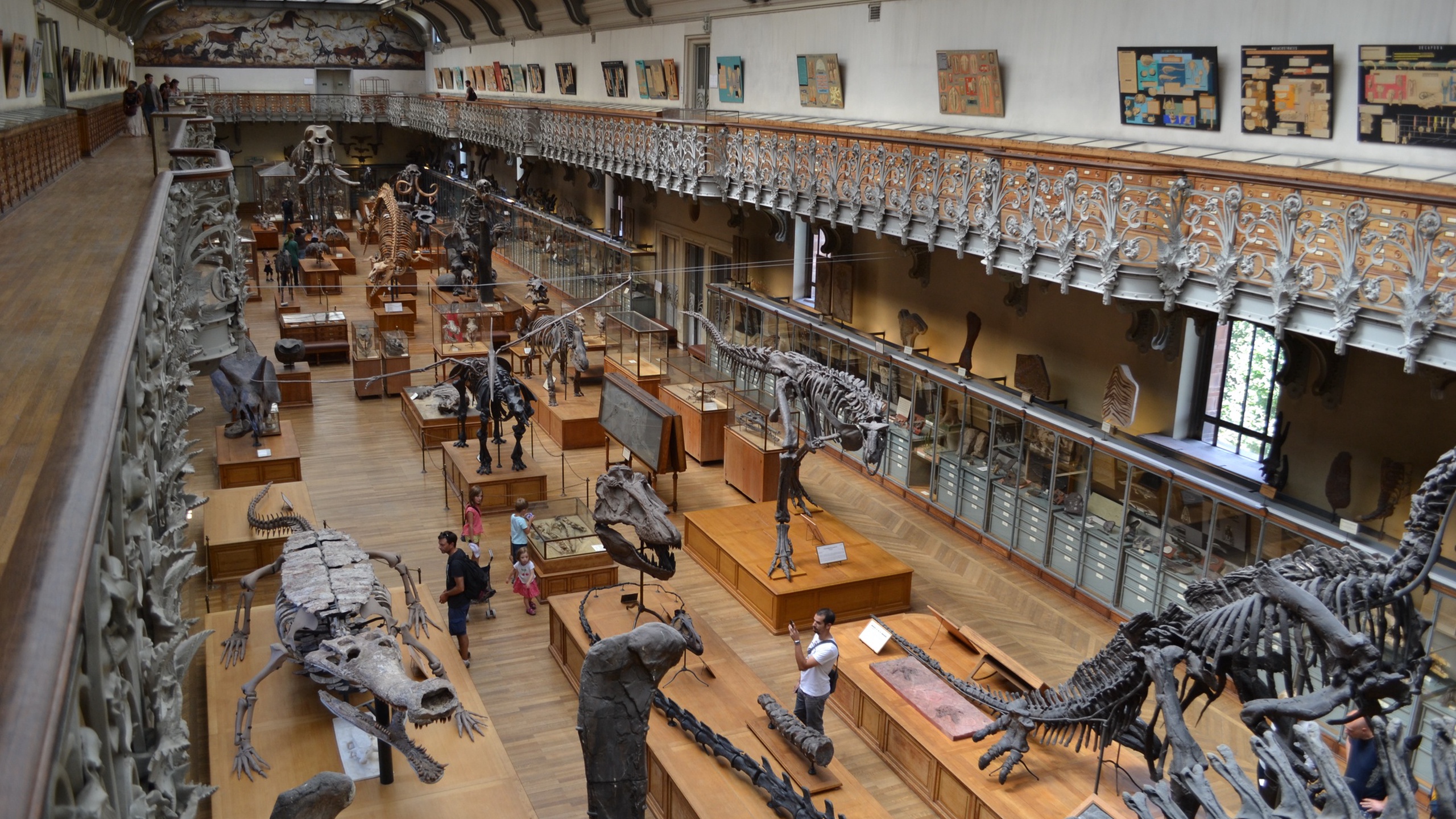 Natural History Day in Paris