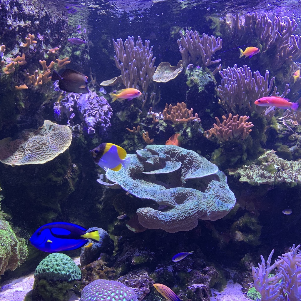 Paris Aquarium