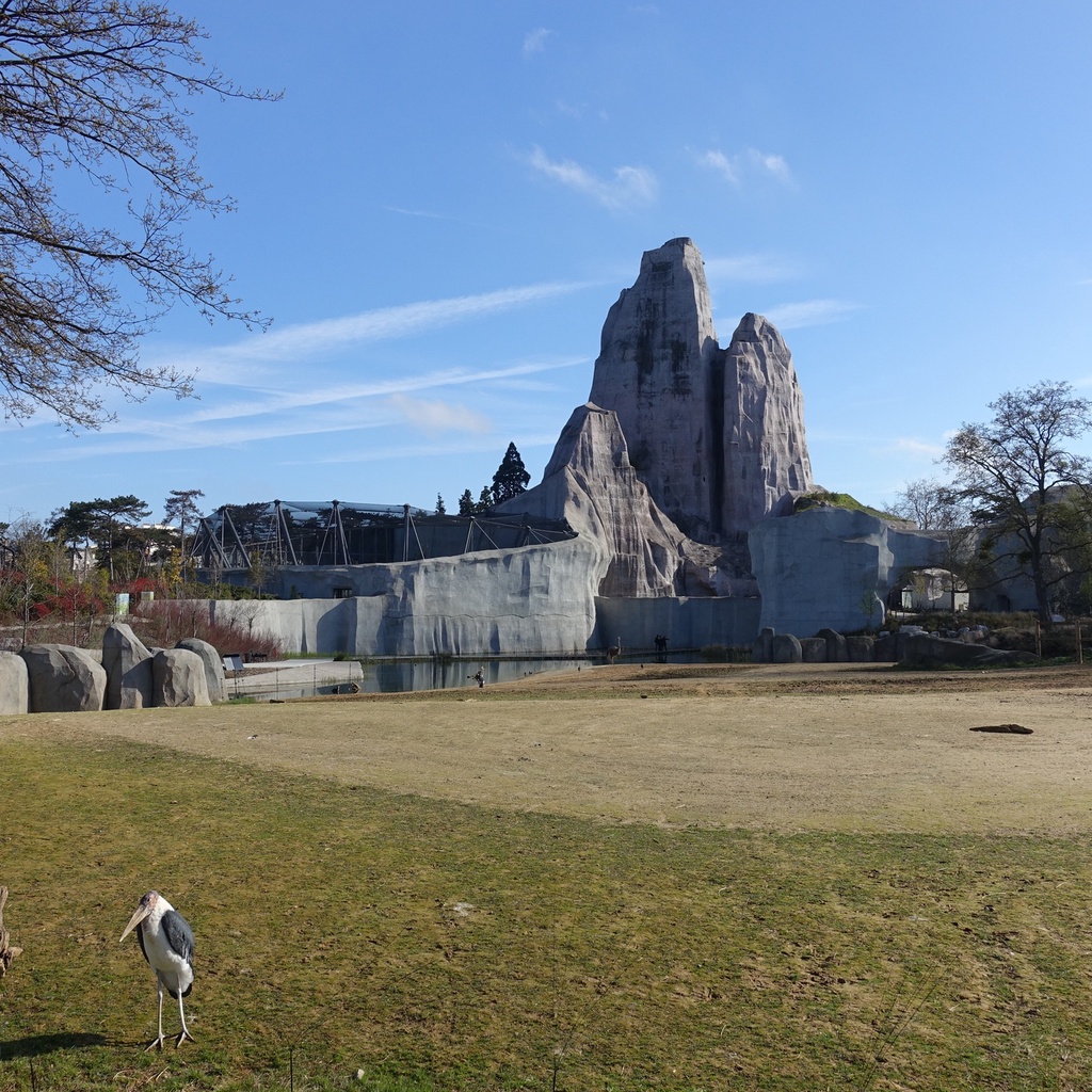 Paris Zoo and Bois de Vincennes