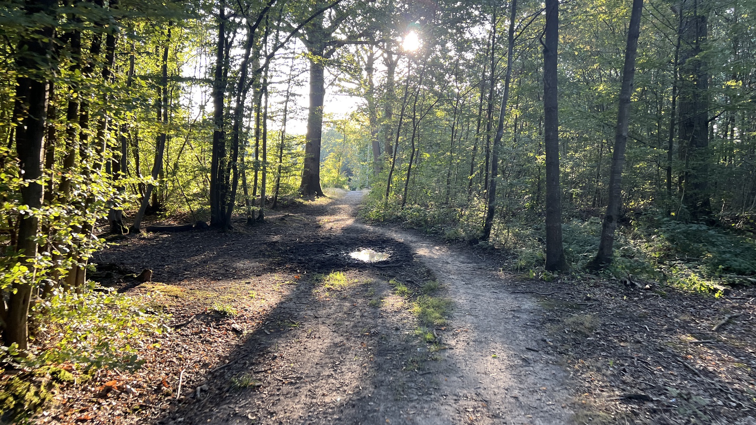 Malmaison State Forest - Rueil-Malmaison